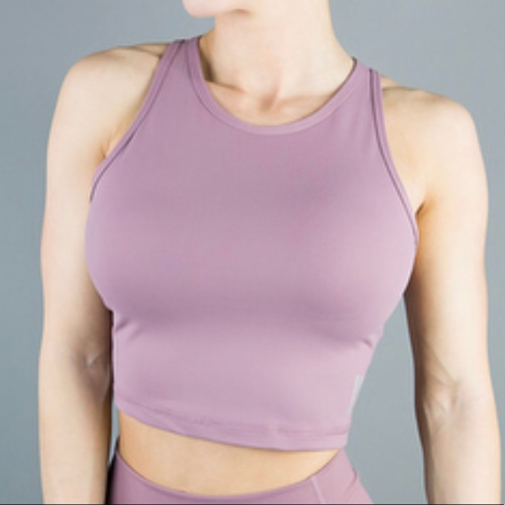 BuffBunny Aurora crop top mauve small
